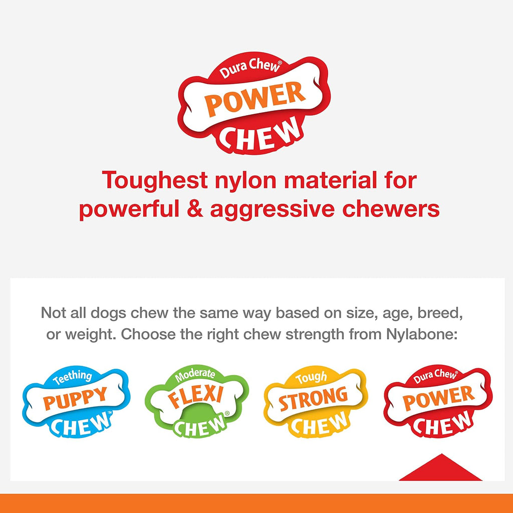 Nylabone Lobster Power Chew Toy for Dogs, Dog Toys for Aggressive Chewers | Lobster dog toy for small dogs up to 25 lbs, designed for power chewers, filet mignon flavor
