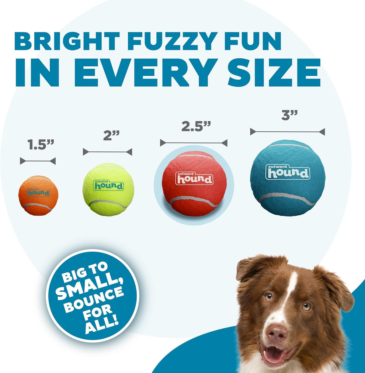 Outward Hound Squeaker Ballz Tennis Ball Dog Toy, Medium, 2.5", 4‑Pack | Squeaks & Bounces, Bright Colors, Interactive Fetch & Training, Indoor Outdoor, Moderate Chewers, Medium Dogs (Under 50 lbs)