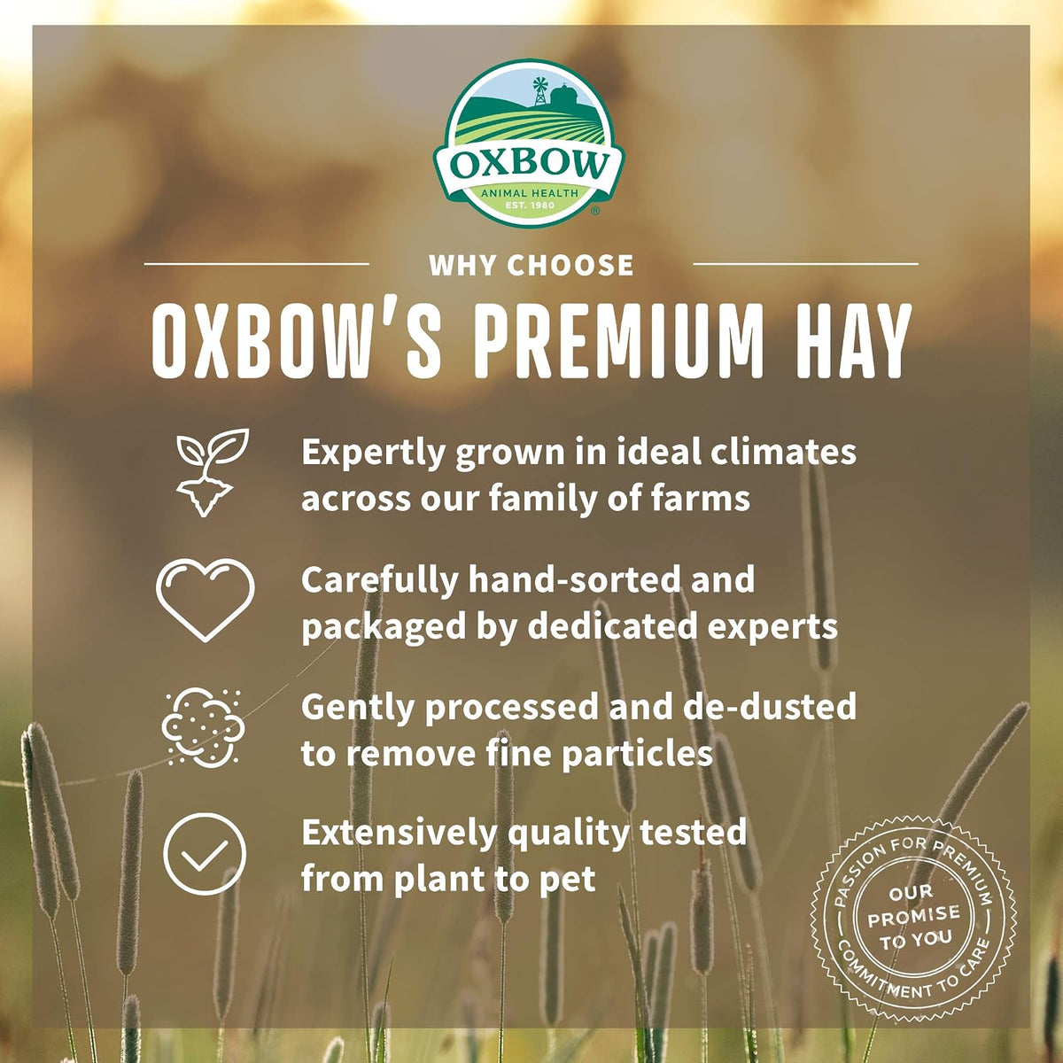 Oxbow Organic Meadow Hay, Rabbit & Guinea Pig Hay, High Fiber, 40 oz