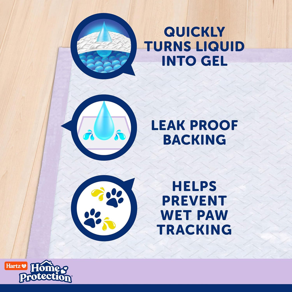 Hartz Home Protection Lavender Scent Odor Eliminating Dog Pads, 3XL, 30ct | Thicker Quilted, Super Absorbent, Quick Drying, No Leaks, No Odors, FlashDry Technology