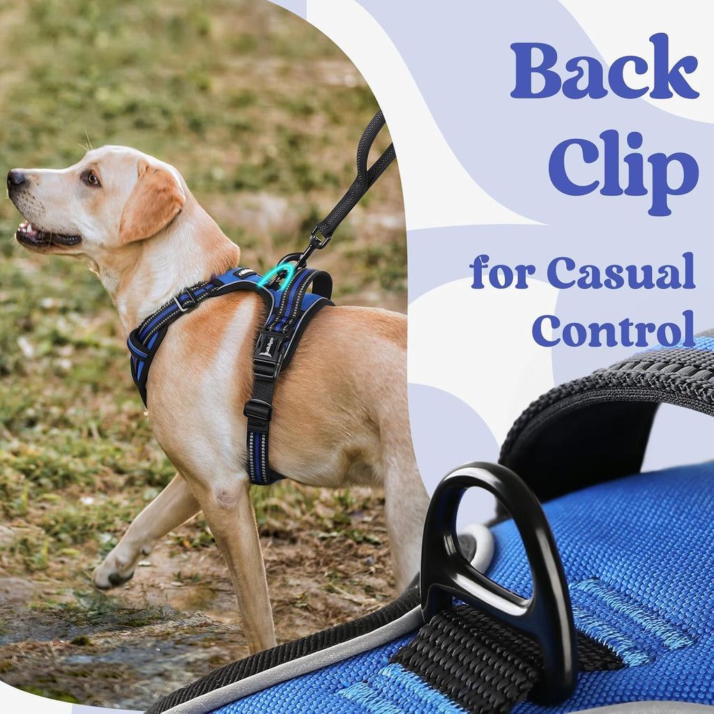 rabbitgoo Dog Harness for Large, Updated Easy On & Off with 3 Buckles