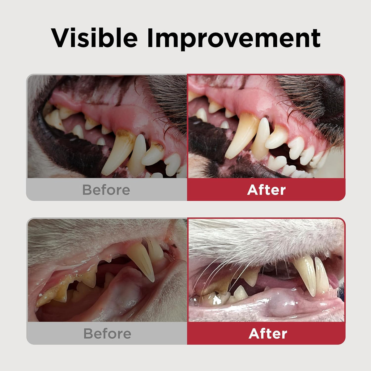 JAYU PET Dental Care Brush with Soft Bristles 1ea | Dog Toothbrush, Cat Toothbrush, For Kitten and Small Dogs, Removes Old Plaque and Tartar, Easy Cleaning