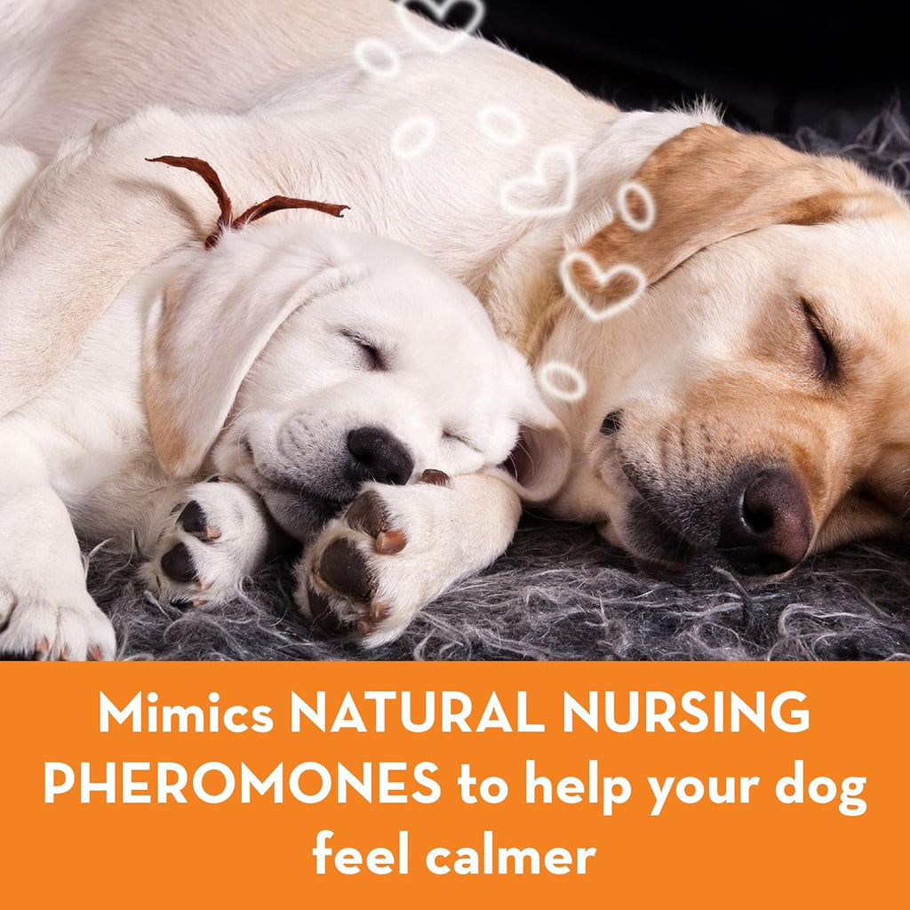 ThunderEase Dog Calming Pheromone Diffuser Kit | Powered by ADAPTIL | Vet Recommended to Relieve Separation Anxiety, Stress Barking & Chewing, and Fear of Fireworks & Thunderstorms (30 Day Supply) | Vet Recommended, Powered by Adaptil Helps Separation Anx