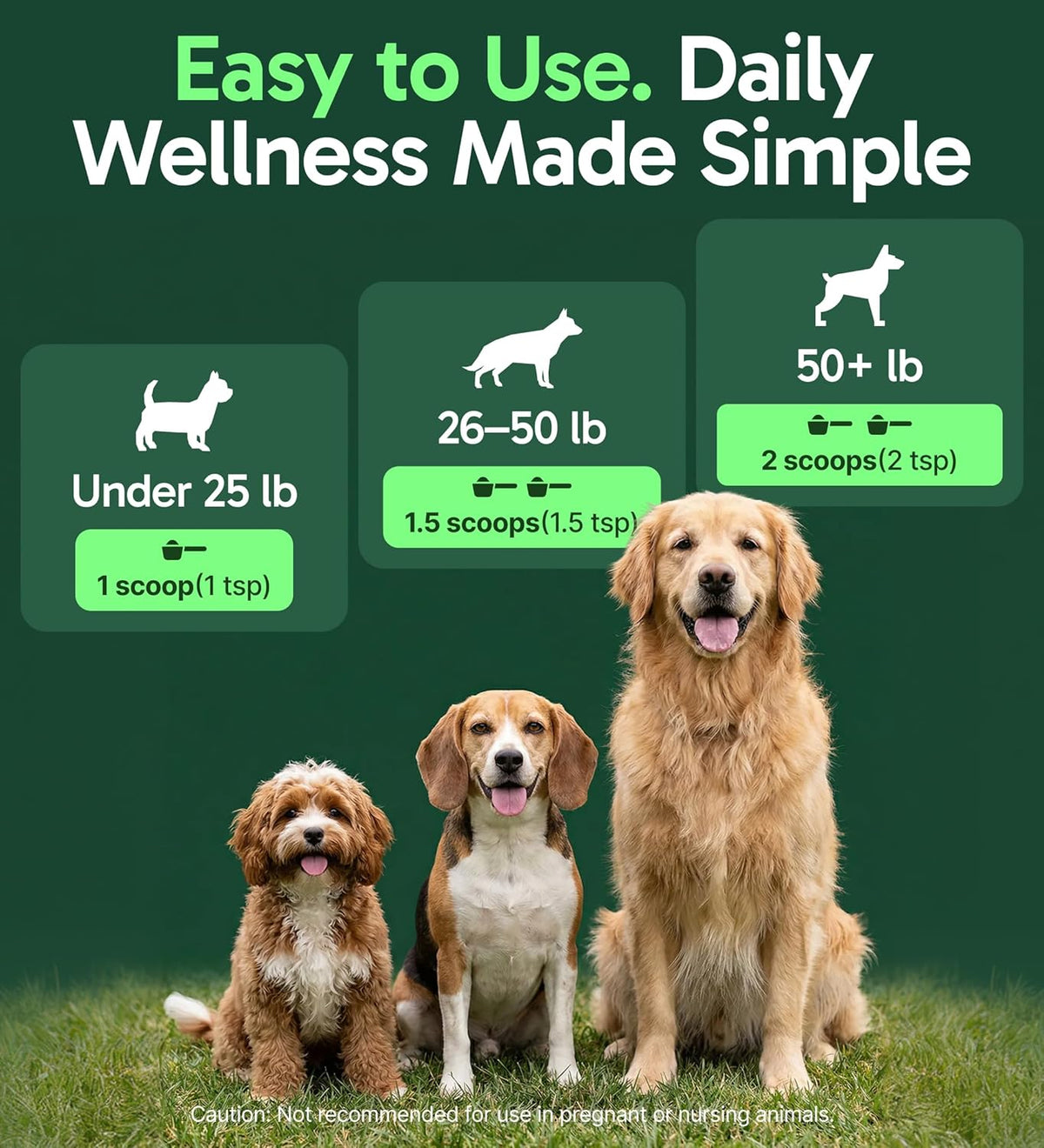 K9 Immune, All-Natural Mushroom Powder for Dogs for Immunity, Digestion, Joints, & Energy, Antioxidant-Rich & USA-Made, Dog Immune Support with Turkey Tail Mushroom for Dogs, 30 Servings