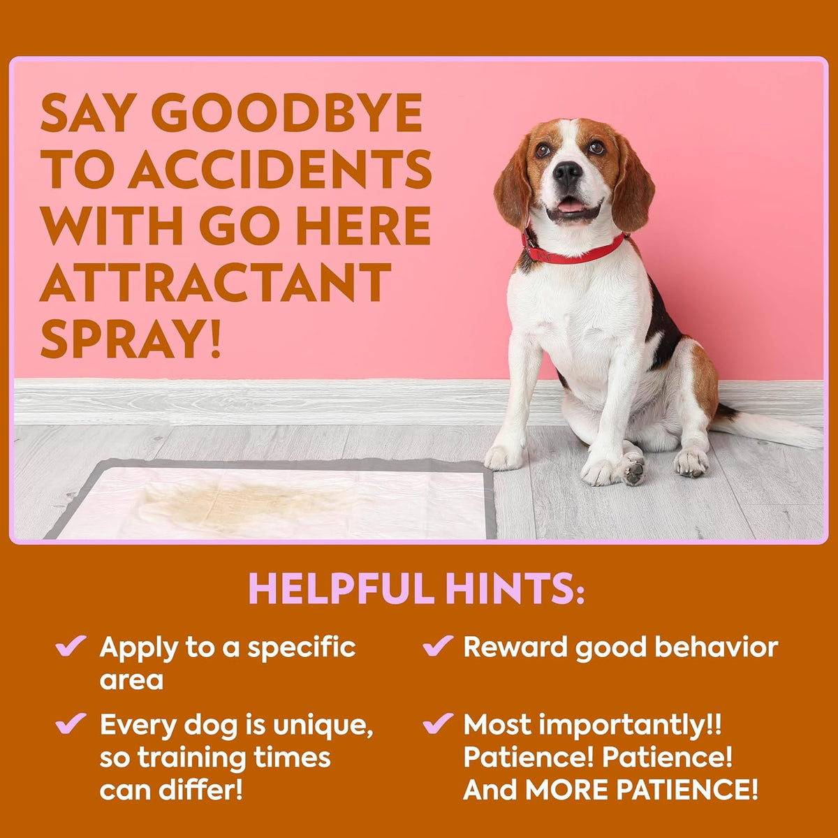 OUT! PetCare Go Here Attractant, Potty Training Spray for Dogs, 32oz | Dog Pee Spray, Puppy Potty Training, Housebreaking, Indoor & Outdoor, Pee Here Training, Training Aid, Easy Application