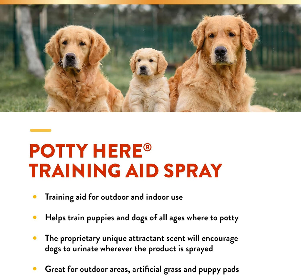 NaturVet Potty Here Training Aid Spray for Puppies and Dogs - 32 oz | Train Puppies & Dogs Where To Potty, Formulated For Indoor & Outdoor Use