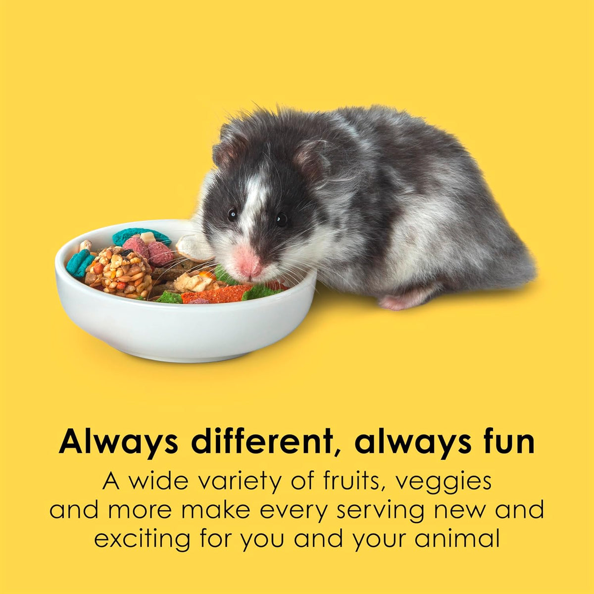 Kaytee Fiesta Hamster & Gerbil Food, Nutritious and Fun Blend, Supports Dental Health and Digestion, 4.5 pounds