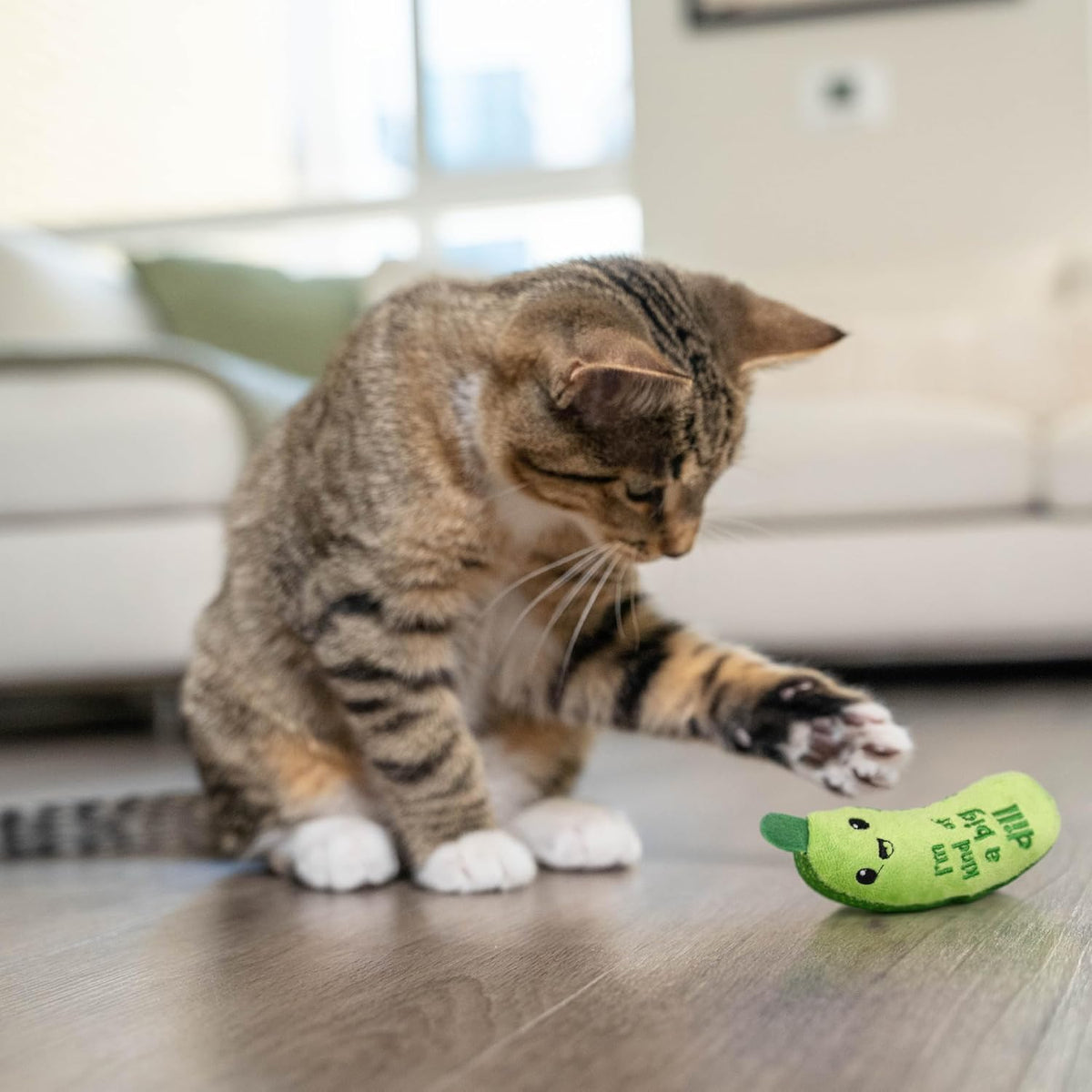 Catstages Crunchy Pickle Kicker Chew Cat Toy, Catnip & Dental Mesh, 6.5"