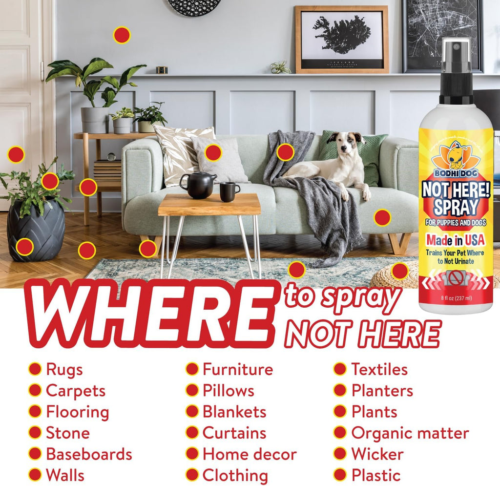 Bodhi Dog Not Here Spray - Trains Pets Where Not To Pee - Dog & Puppy Potty Training Spray to Stop Marking & Urinating Indoors or Outdoors - Safe for Furniture, Carpet & Floors - Made in USA (8 Fl Oz)