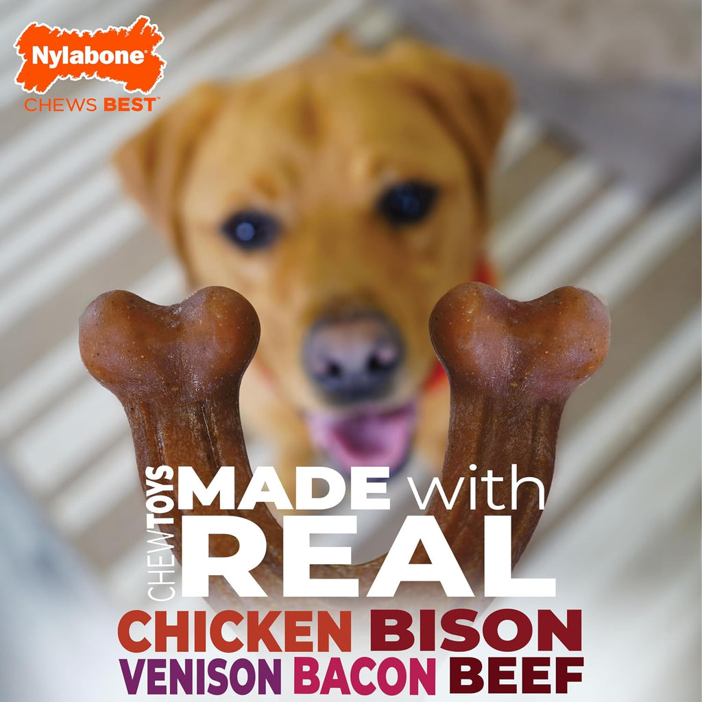 Nylabone Strong Chew Dog Toy 4-Pack, Durable Chew Toys, Large Dogs | Dog toys for aggressive chewers, made with real bacon, bison, venison, beef and chicken; for large breed dogs up to 50 lbs