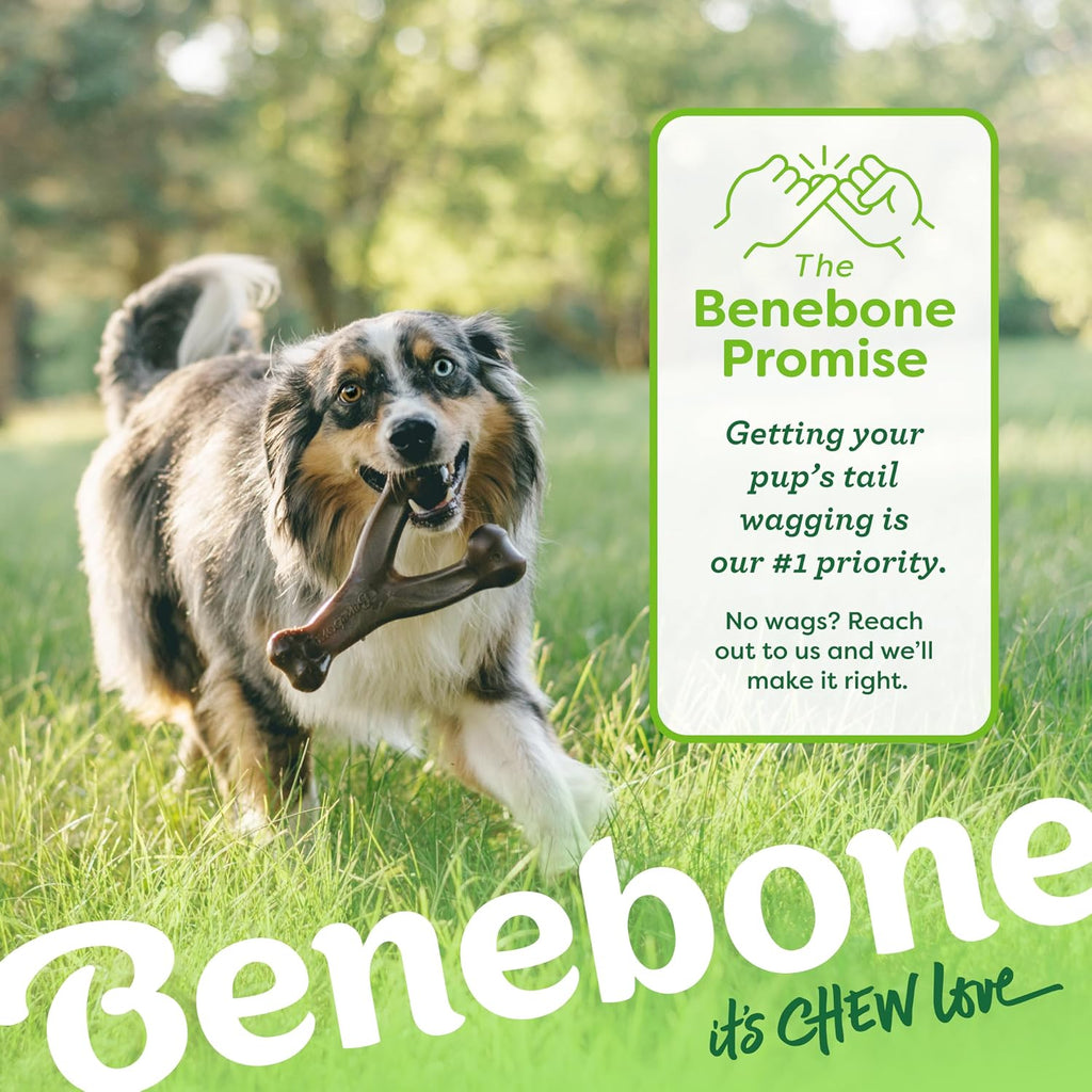 Benebone Wishbone Durable Dog Chew Toy for Aggressive Chewers, Made in USA, Small, Real Bacon Flavor | Durable, Super Chewer, Made in USA, Dog Bones, Long-Lasting, A Size for Every Dog, Keeps Them Busy