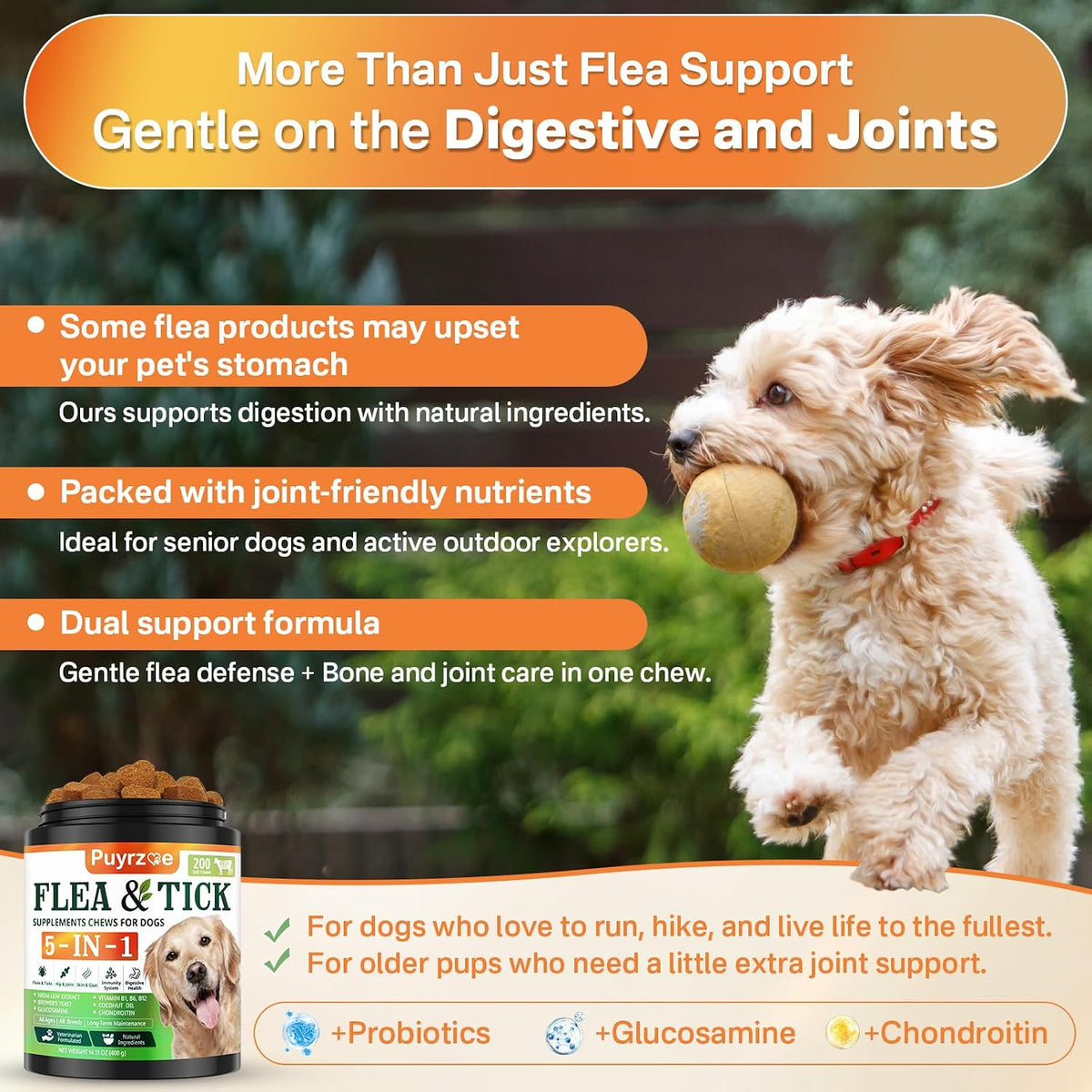 Puyrzoe Flea and Tick Prevention for Dogs, Dog Flea and Tick Treatment Chew | 5-In-1 Flea and Tick Chews, Flea & Tick Prevention | Hip & Joint | Skin & Coat | Immunity Support | Digestive for All Breeds