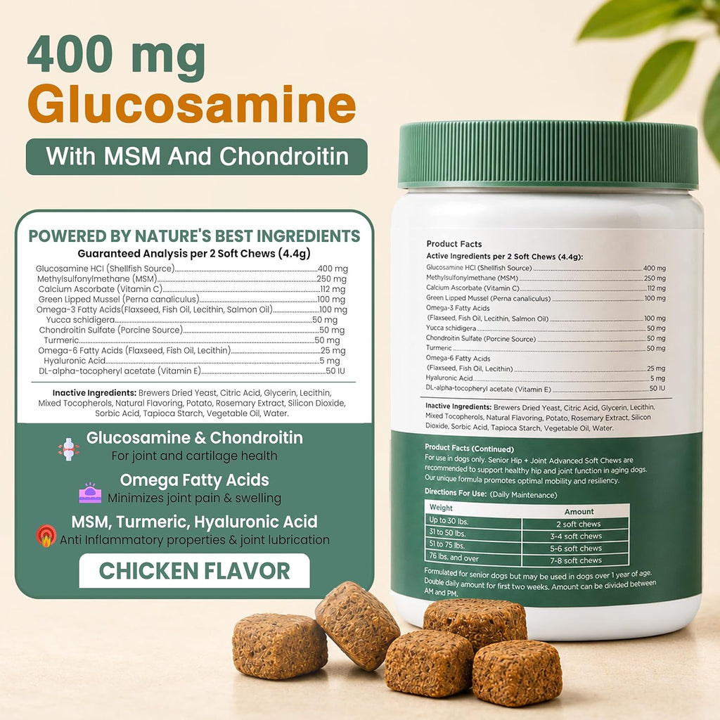 Glucosamine for Senior Dogs Hip and Joint Supplement, 60 Mobility Chews | Made with Glucosamine, MSM, Chondroitin, Green Lipped Mussels and More