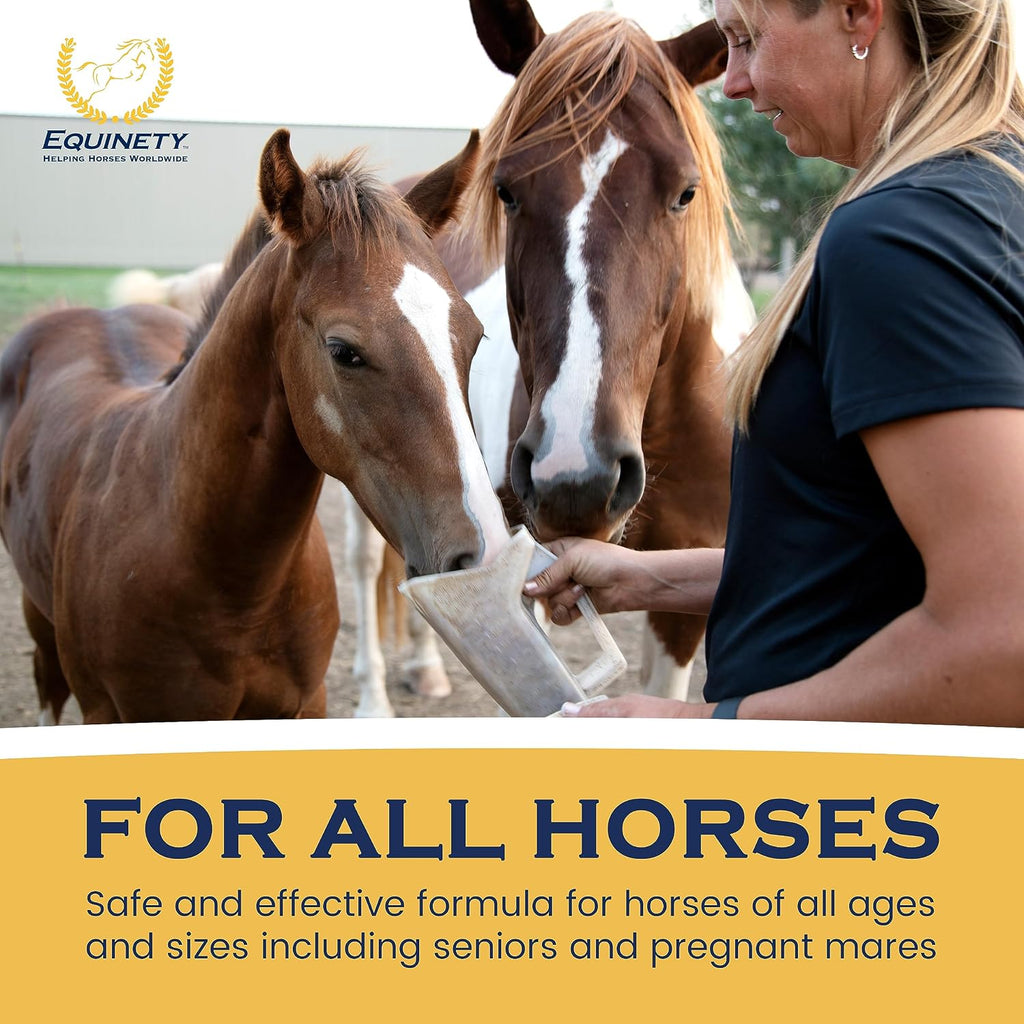 100-Day Supply Equinety Horse XL Powder Horse Supplement with Amino Acids
