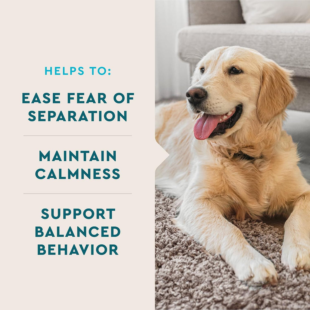 VetIQ Calming Support Supplement, Calming Chews for Dogs Help Manage Stress and Promote Relaxation, Anxiety Relief for Dogs, Made in the USA, 60 Count | Helps manage stress & promote relaxation; daily calming supplement chew; made in USA; ideal for storms