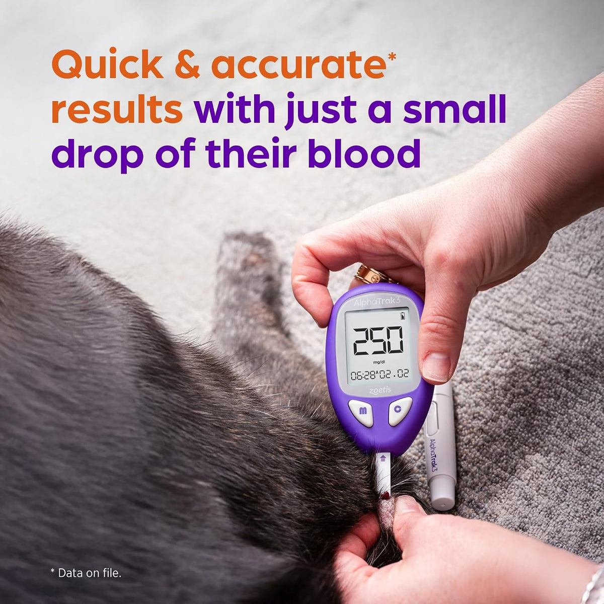 AlphaTrak3 Test Strips for Diabetic Dogs, Cats & Horses, 50 Count | Quick & Accurate Results with Small Blood Sample, Intuitive Design, Use with AT3 Blood Glucose Monitor