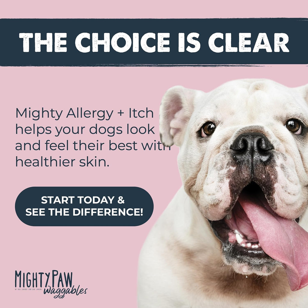 Mighty Paw Dog Allergy Chews, Itch Relief & Immune Support, 120ct | Bacon Flavor, Supports Normal Immune Health, Seasonal Skin Support, Vet Formulated, Made in USA