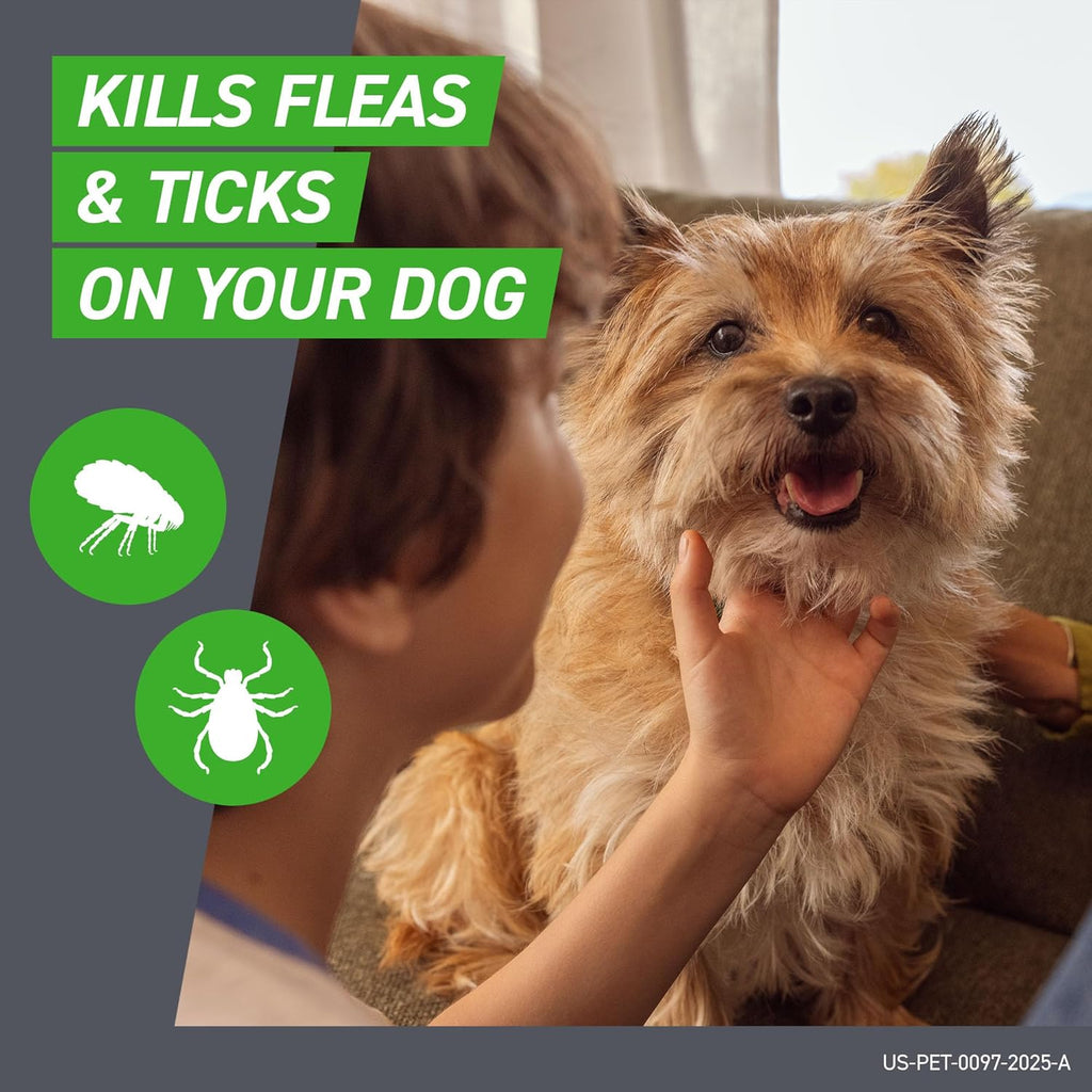 Frontline Plus for Dogs Medium Dog (23-44 pounds) Flea and Tick Treatment, 6 Doses | Trusted by pet owners for over 20 years,² kills fleas, ticks & chewing lice, waterproof 24 hr