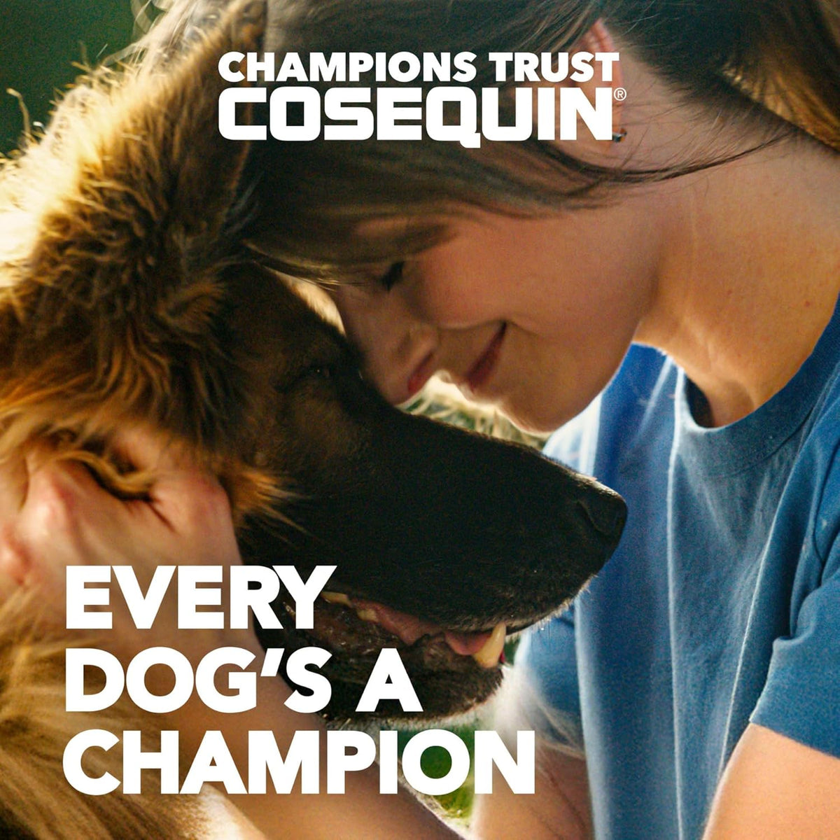 Nutramax Cosequin Joint Supplement for Dogs, Skin & Coat, Soft Chews,120ct | Glucosamine & Chondroitin for Dogs with MSM, Omega-3s, Supports Joints, Skin and Coat Health, All Ages & Sizes
