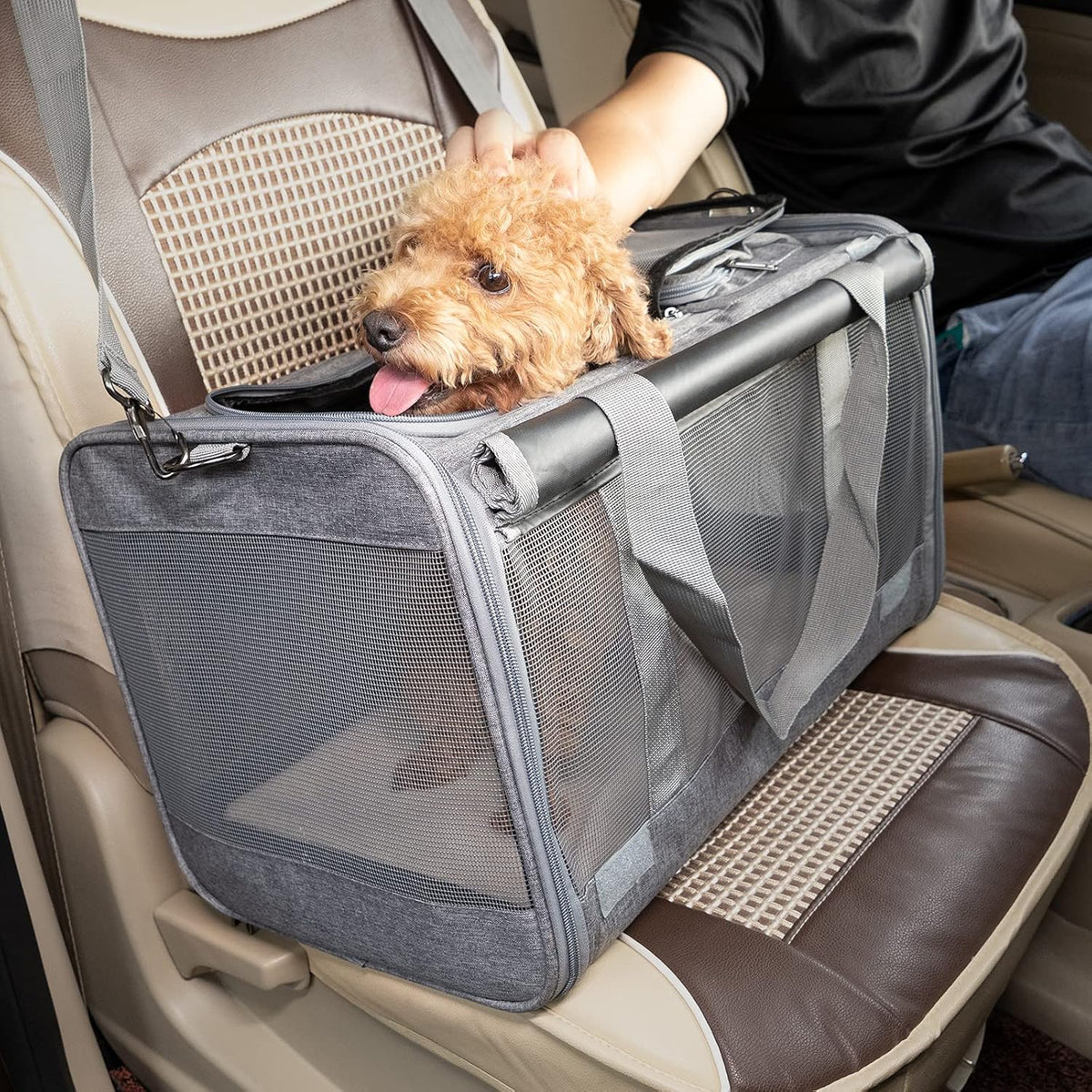 GAPZER Pet Carrier for Large Cats up to 20lbs Soft-Sided Privacy Protection