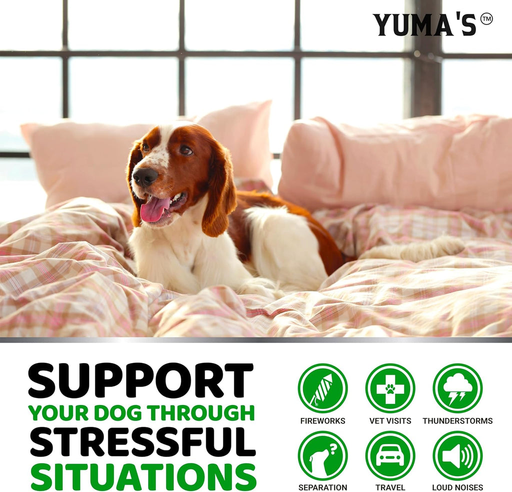 Hemp Calming Chews for Dogs - 240 Treats - Advanced Dog Calming Chews | Dog Anxiety Relief Supplement with Melatonin - Sleep Aid, Separation, Barking, Stress & Travel - Joint Support - Made in USA