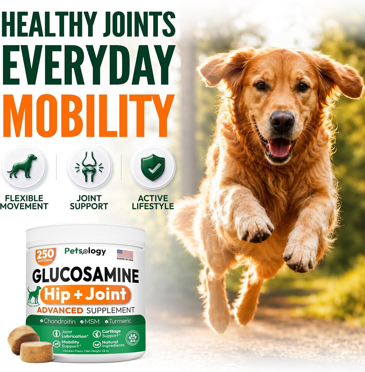 Glucosamine for Dogs - 250 Chews with Chondroitin, Hip and Joint Supplement | MSM - Turmeric - Omega 3 - Joint Pain Relief - Advanced Dog Health Support for Large, Medium & Small Breeds - Made in USA