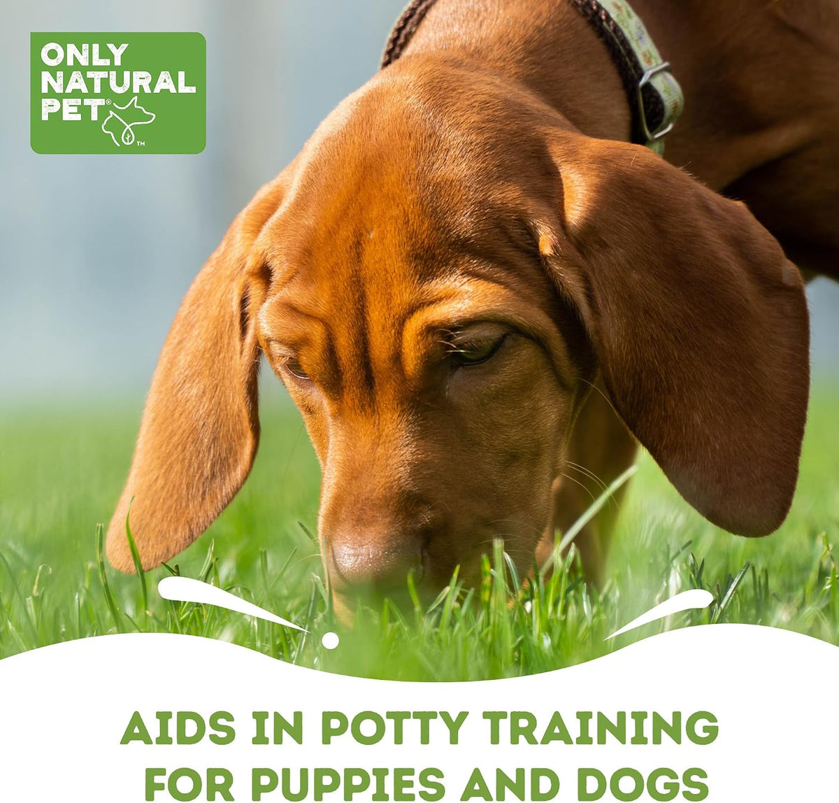 Only Natural Pet No Marking Spray & Deterrent for Dogs – Indoor & Outdoor Urine Prevention – Stain & Odor Eliminator – Potty Training Aid to Deter Peeing or Marking on Carpet & Furniture – 32 fl oz