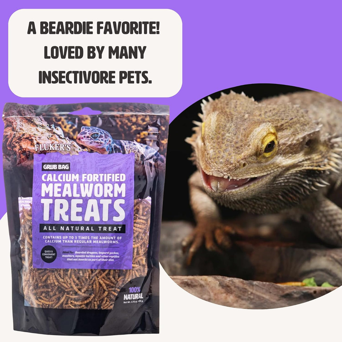 Fluker’s Grub Bag All Natural Calcium Fortified Mealworm Treats, Packed with Protein, Rich in Nutrients, A Reptile Favorite, 3 oz