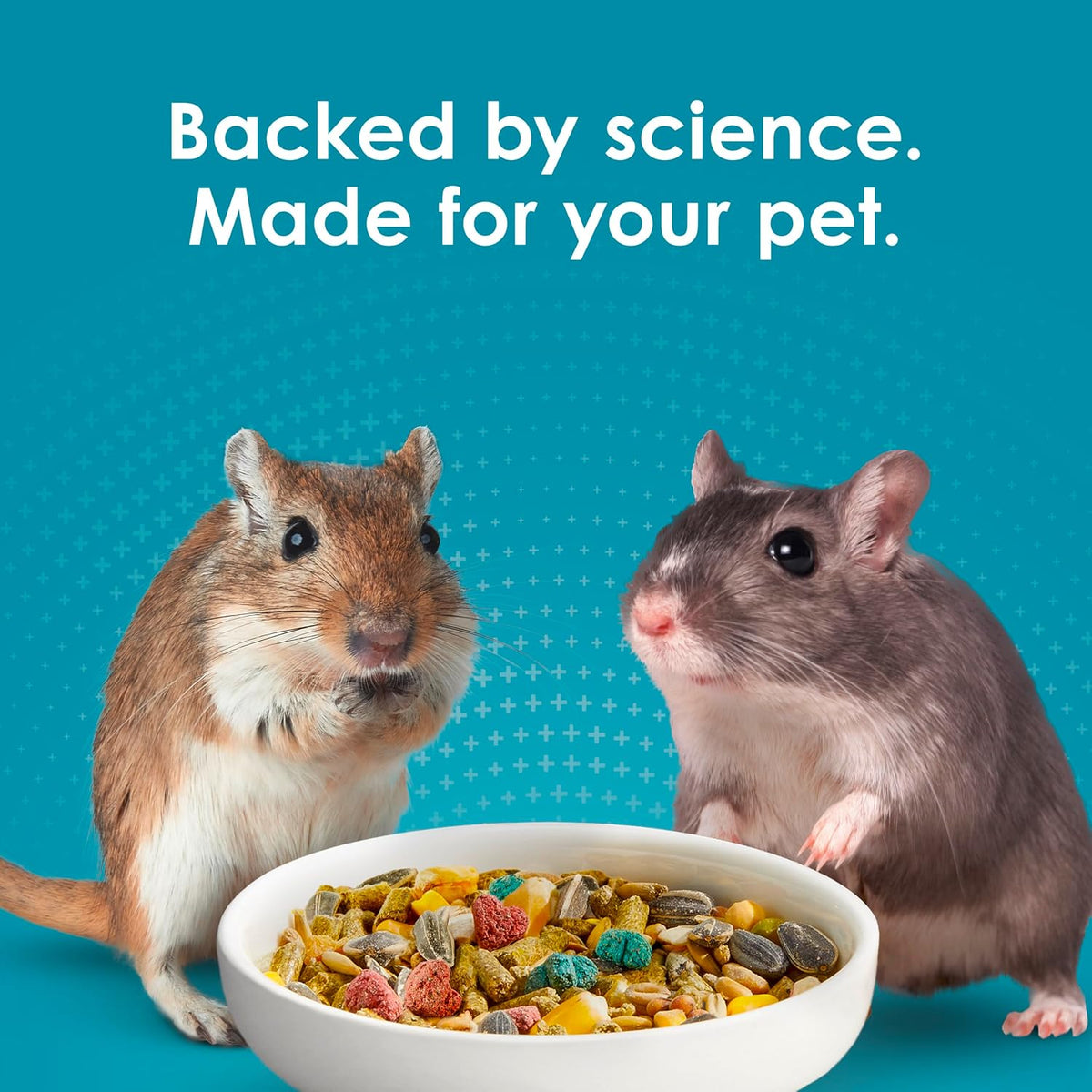 Kaytee Forti-Diet Pro Health Nourish+Protect Hamster Food & Gerbil Food