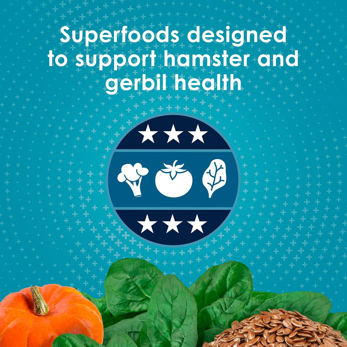 Kaytee Forti-Diet Pro Health Nourish+Protect Hamster Food & Gerbil Food
