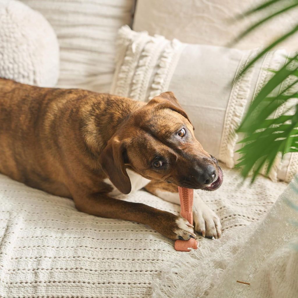 SPOT Bam-Bones Plus T Bone – Bamboo Fiber & Nylon Dog Chew Toy for Moderate to Aggressive Chewers, Durable Long Lasting & Non-Splintering, Beef Flavor Toy for Adult Dogs & Puppies Under 60 lbs, 6 in