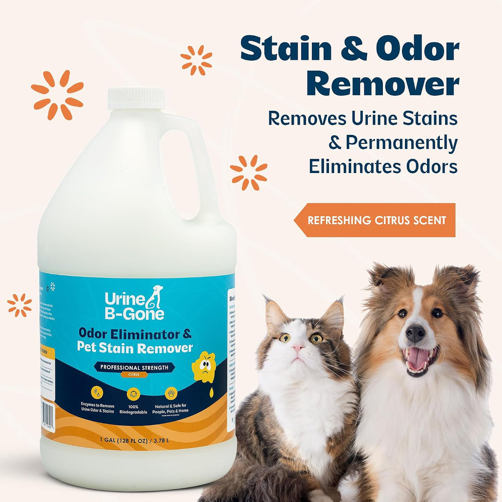 Urine B-Gone Enzyme Cleaner for Human, Cat & Dog Urine, Citrus, 1 Gallon | Enzyme cleaner for human, cat and dog urine on laundry, carpets and more; citrus scent, 1-gallon size.