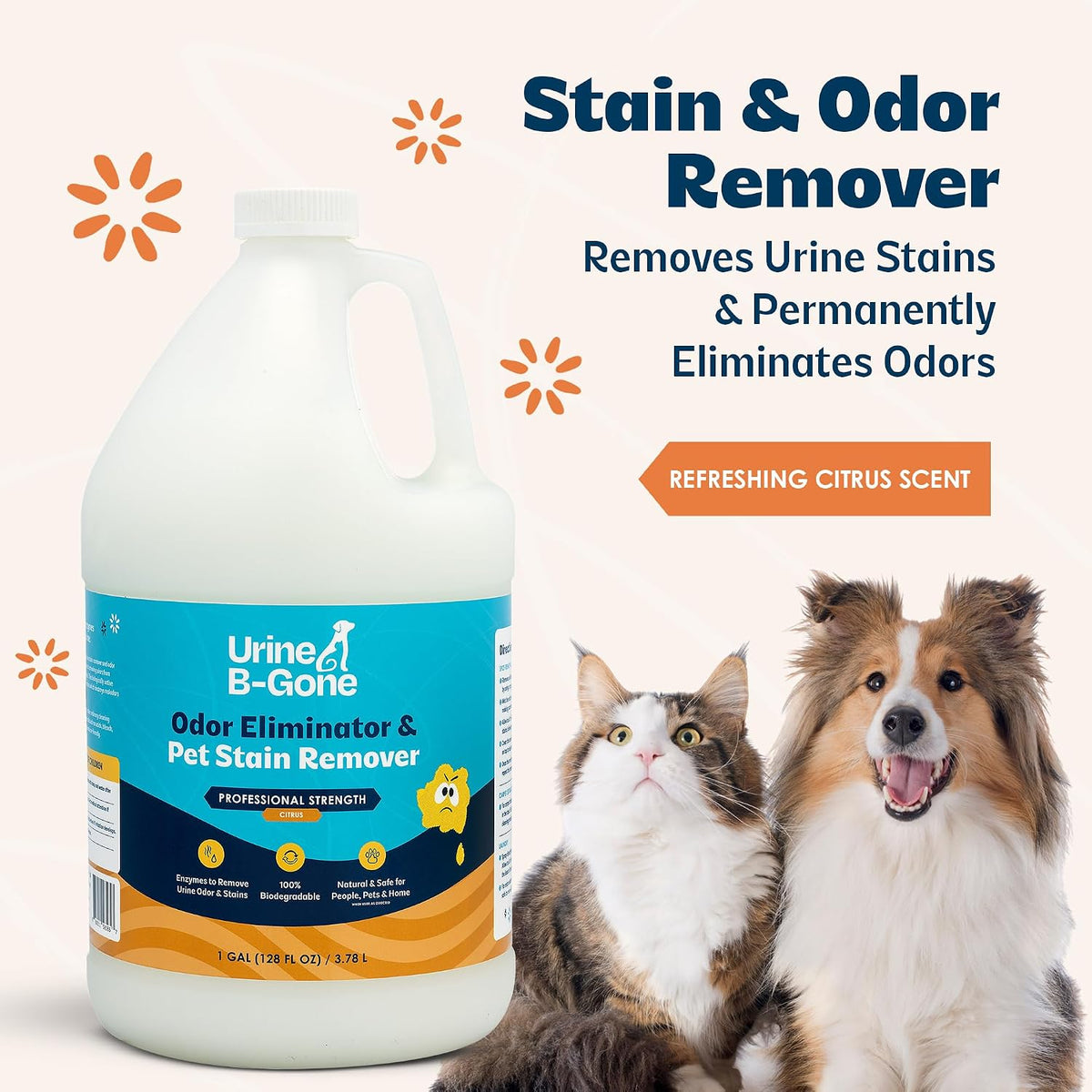 Urine B-Gone Enzyme Cleaner for Human, Cat & Dog Urine, Citrus, 1 Gallon | Enzyme cleaner for human, cat and dog urine on laundry, carpets and more; citrus scent, 1-gallon size.