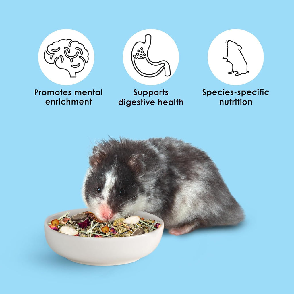 Kaytee Food from the Wild, Pet Hamster Food, 2 Pounds