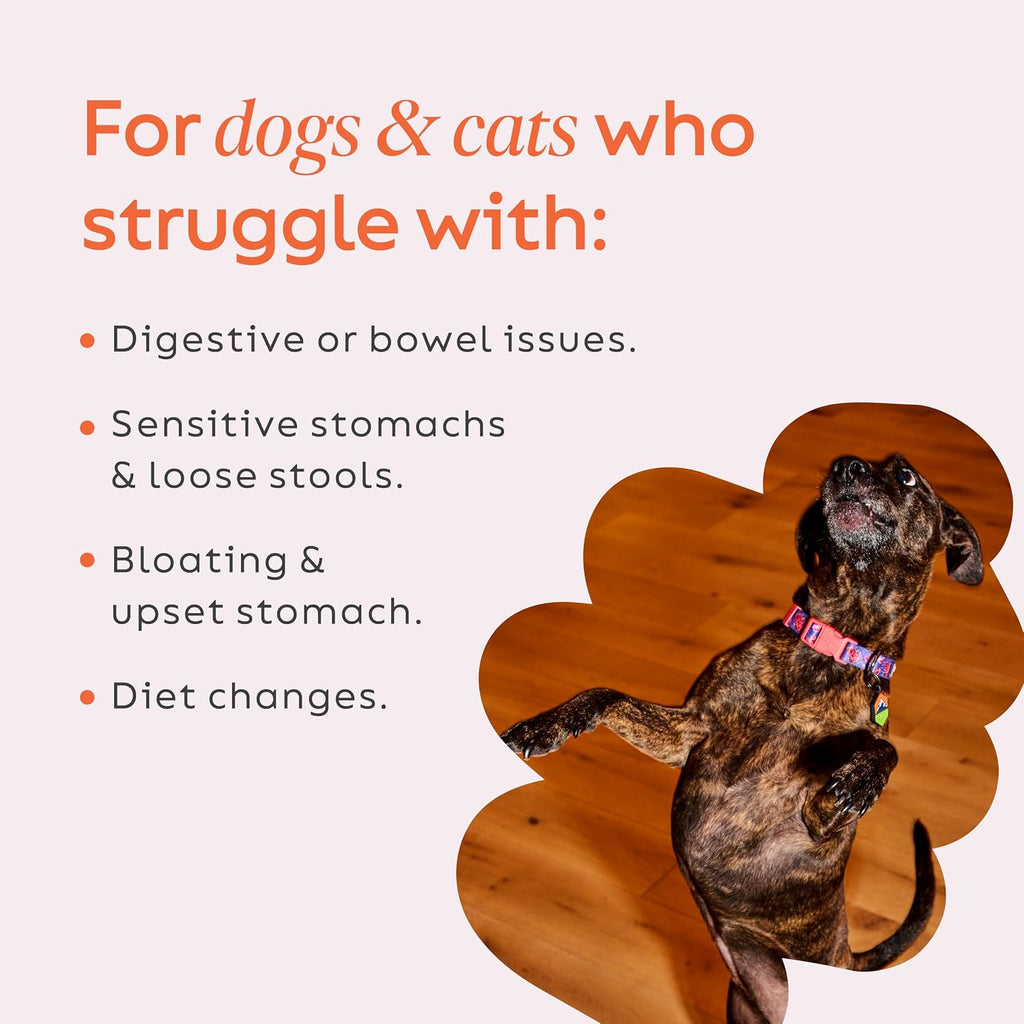 Diggin' Your Dog – Firm Up Pumpkin for Dogs & Cats – Fiber Supplement with Pumpkin & Apple Fiber for Cat & Dog Digestive Support – Made in USA, 4 oz | Real Pumpkin & Apple Fiber Powder for Dog & Cat Digestive Support to Help Promote Prebiotic Gut Health, 