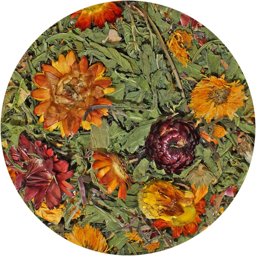 Exotic Nutrition Pasture Plus+ Dandelion Delicacy - Healthy Natural High-Fiber Dried Flower Treat - Guinea Pigs, Rabbits, Chinchillas, Prairie Dogs, Degus, Hamsters, Gerbils & Other Small Pets