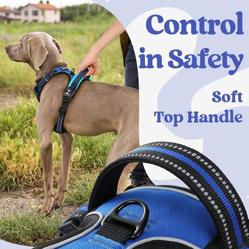 rabbitgoo Dog Harness for Large, Updated Easy On & Off with 3 Buckles