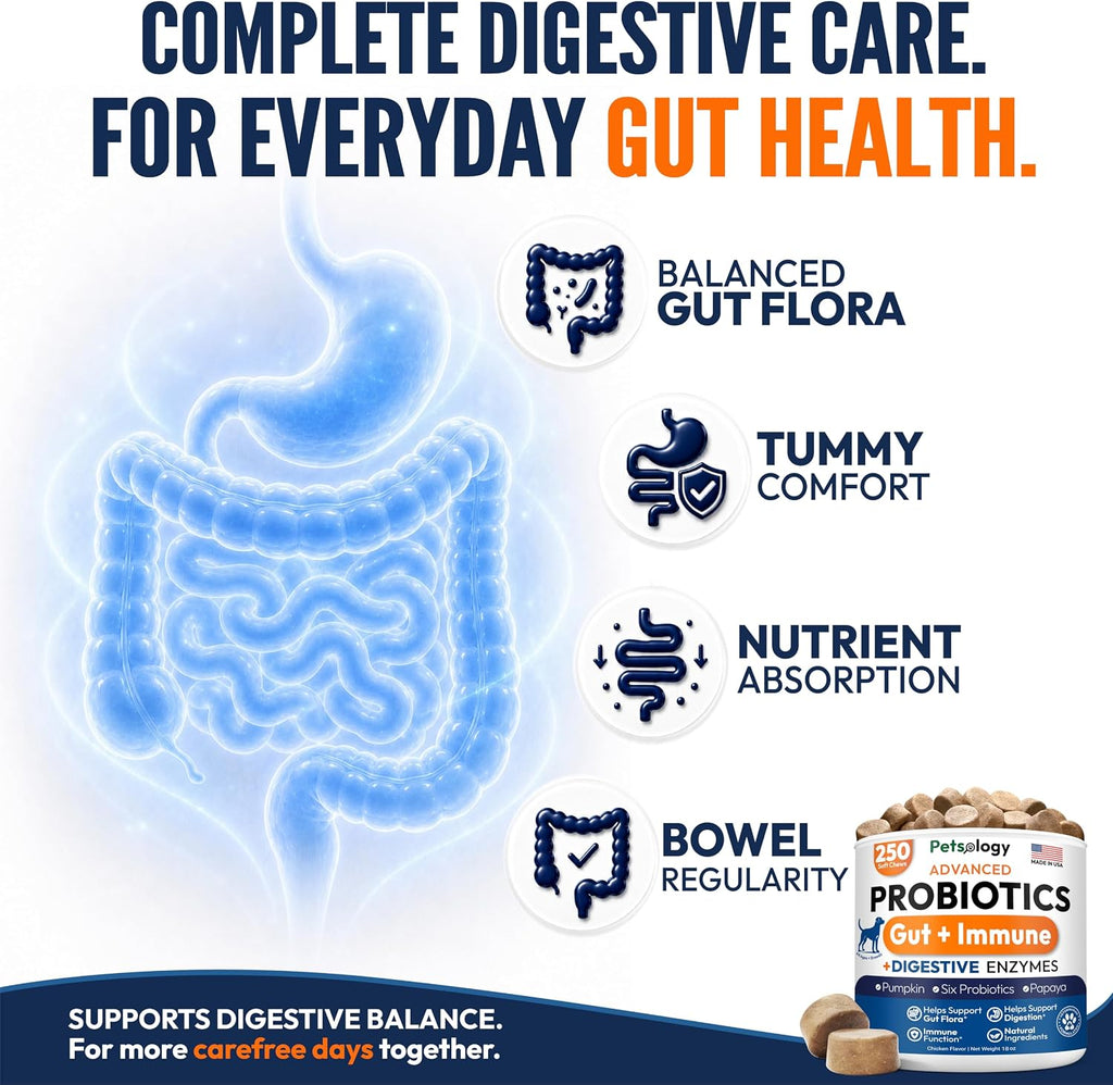 Probiotics for Dogs - 250 Dog Probiotics Chews - Digestive Enzymes Support | Gut Health Support, Diarrhea, Gas & Constipation Relief Supplement, Itchy Skin, Allergies & Yeast Balance, Made in USA