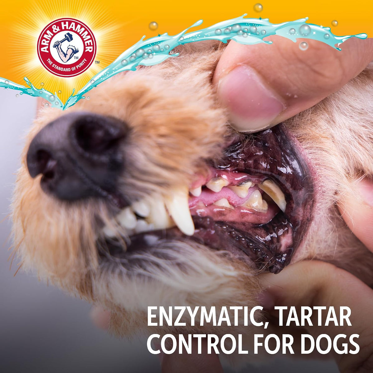 Arm & Hammer Complete Care Enzymatic Dog Toothpaste, Chicken, 6.2 Oz | Fluoride-free formula with baking soda and calcium fights plaque and tartar, freshens breath, value size