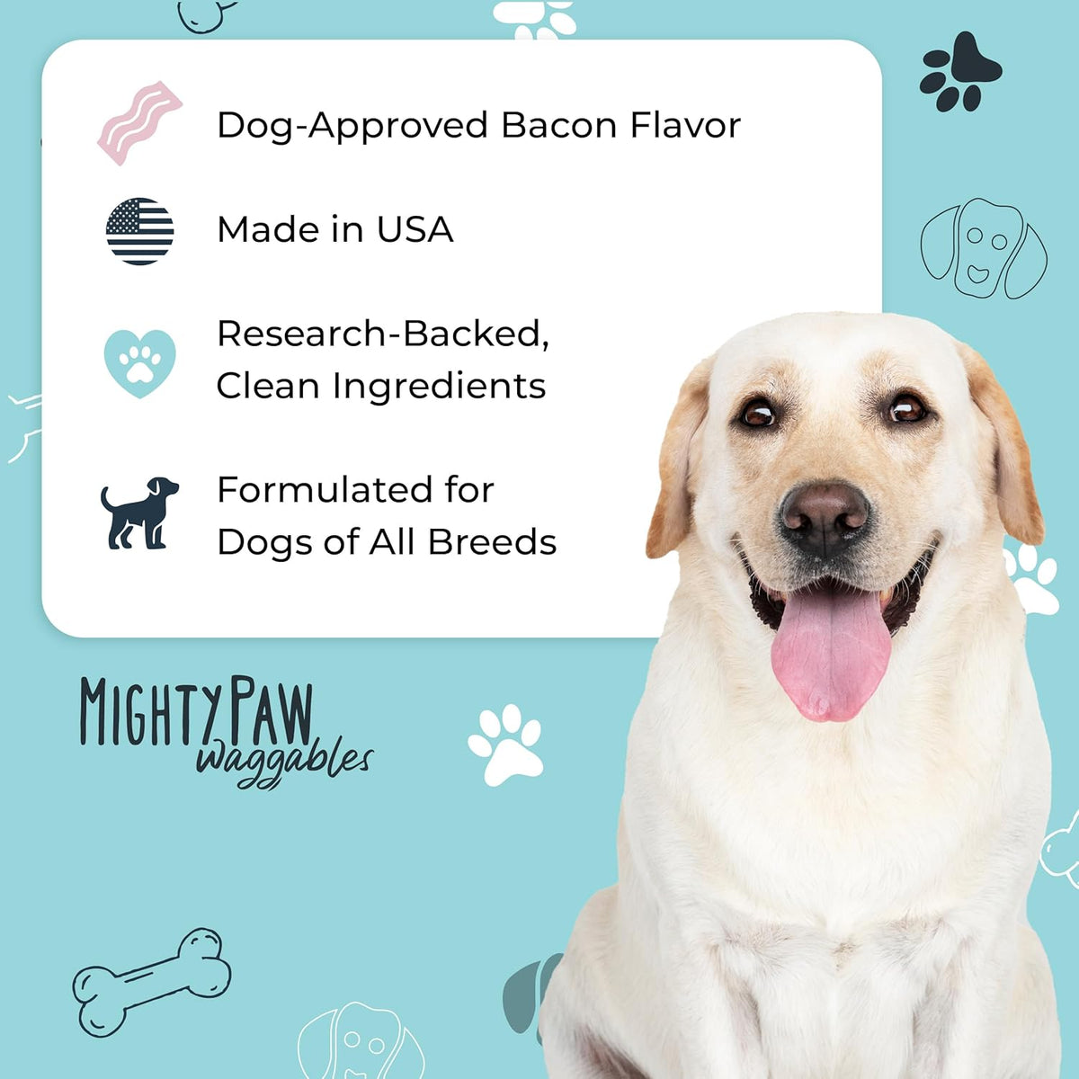 Mighty Paw Dog Allergy Chews, Itch Relief & Immune Support, 120ct | Bacon Flavor, Supports Normal Immune Health, Seasonal Skin Support, Vet Formulated, Made in USA