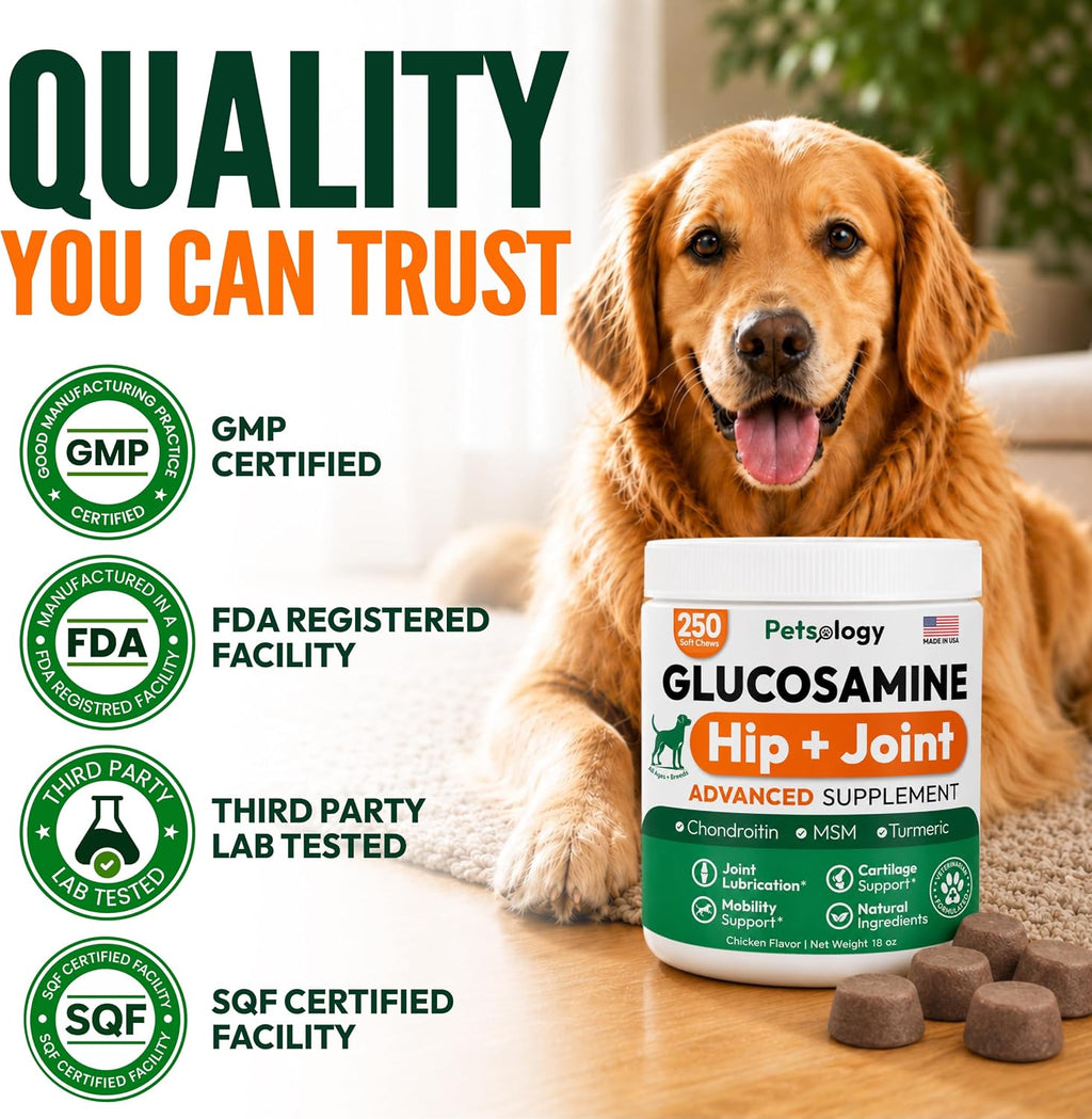 Glucosamine for Dogs - 250 Chews with Chondroitin, Hip and Joint Supplement | MSM - Turmeric - Omega 3 - Joint Pain Relief - Advanced Dog Health Support for Large, Medium & Small Breeds - Made in USA