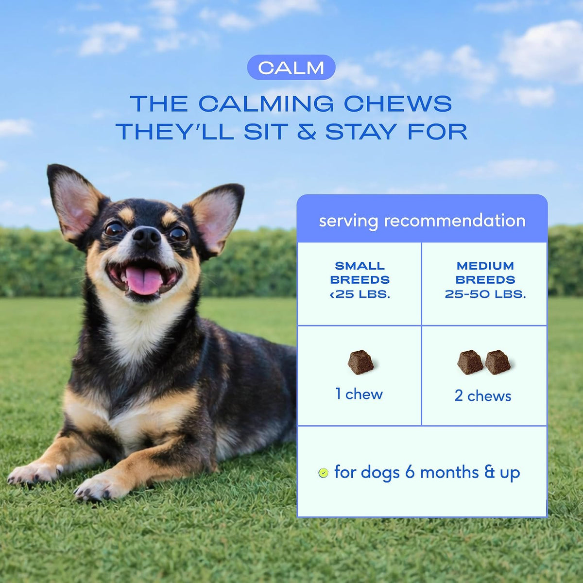 Native Pet Calming Chews for Dogs - Promotes Calming Effect, Supports Emotional Balance & Reduces Hyperactivity - Hemp Seed, Melatonin for Dogs, L-Theanine & Casein - Air-Dried 30 Chews