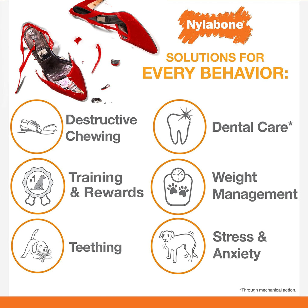 Nylabone Lobster Power Chew Toy for Dogs, Dog Toys for Aggressive Chewers | Lobster dog toy for small dogs up to 25 lbs, designed for power chewers, filet mignon flavor