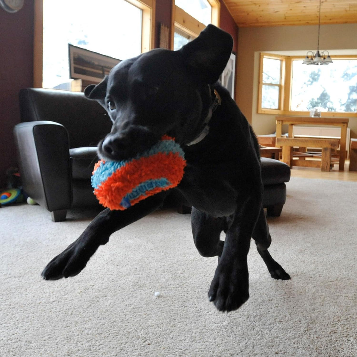 Chuckit! Indoor Fetch Roller Toy for Dogs - Interactive Dog Toys for Boredom, Orange and Blue