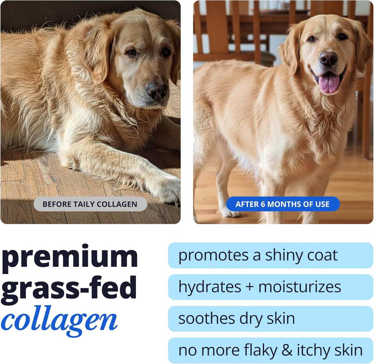 Skin and Coat Supplement for Dogs, Cats | Taily Liquid Collagen for Dogs | Itch Relief for Dogs with Allergies, with Grass Fed Collagen, Biotin, Vitamin C and Hyaluronic Acid | Made in USA