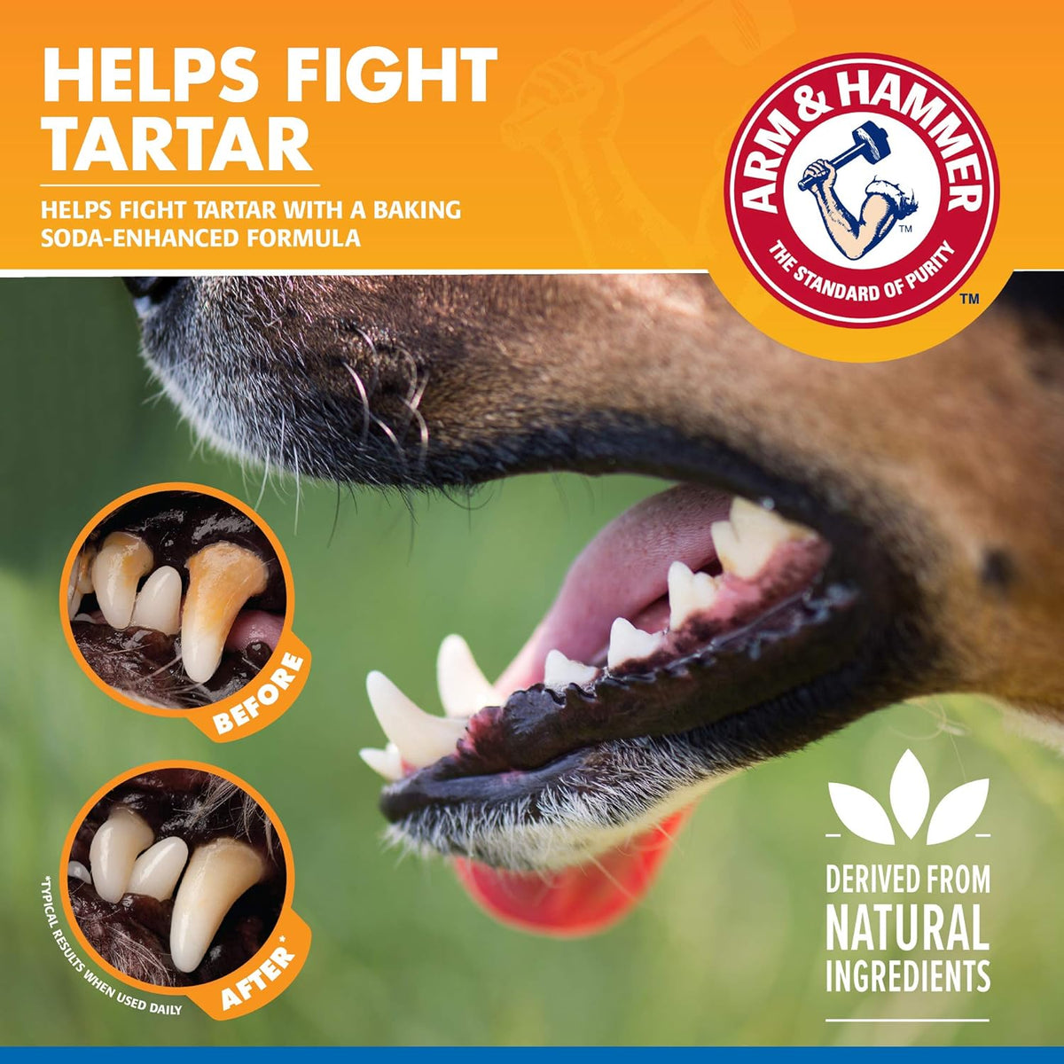 Arm & Hammer Tartar Control Dental Spray for Dogs, Mint, 4 Fl Oz | Brushless breath freshener with baking soda helps reduce plaque and tartar buildup