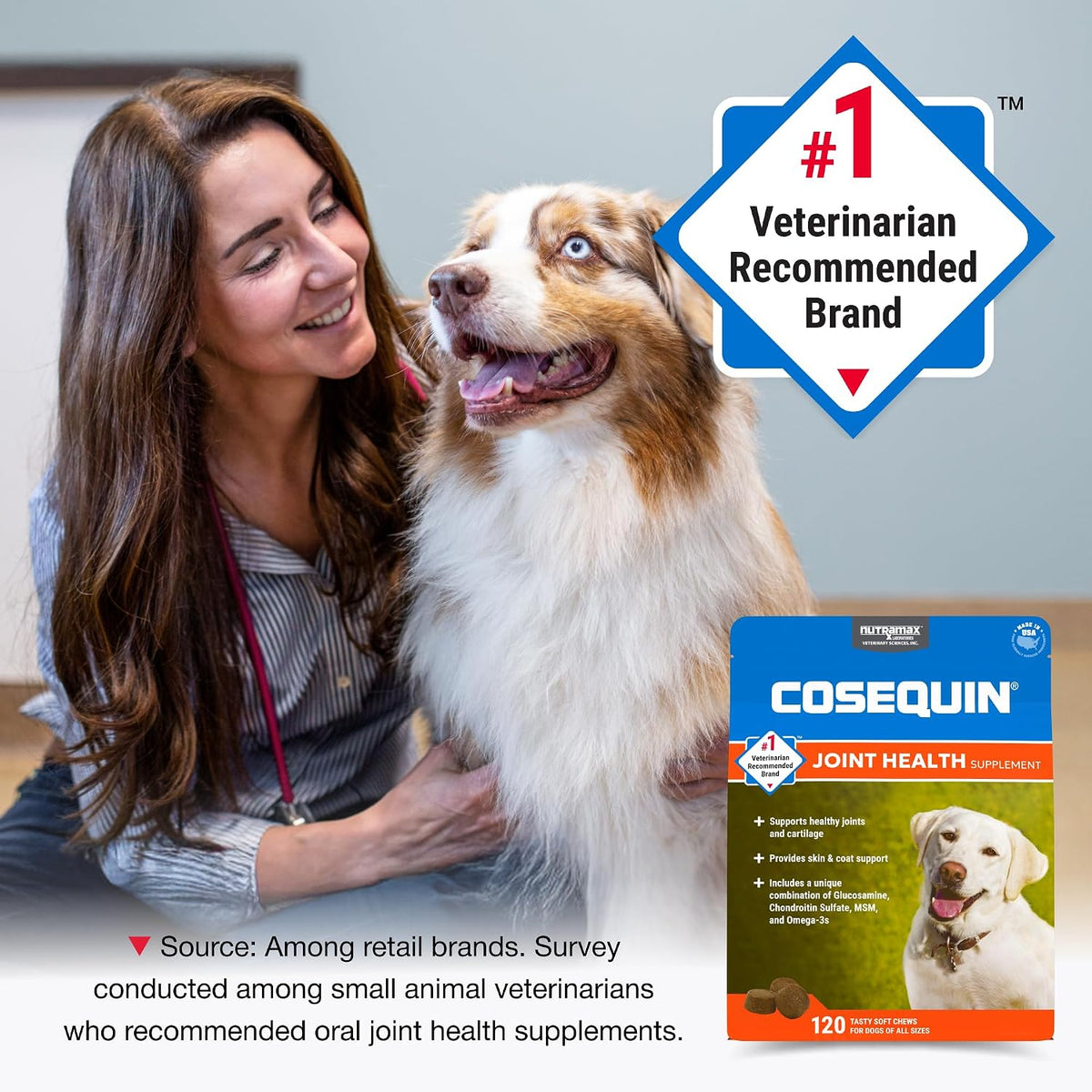 Nutramax Cosequin Joint Supplement for Dogs, Skin & Coat, Soft Chews,120ct | Glucosamine & Chondroitin for Dogs with MSM, Omega-3s, Supports Joints, Skin and Coat Health, All Ages & Sizes