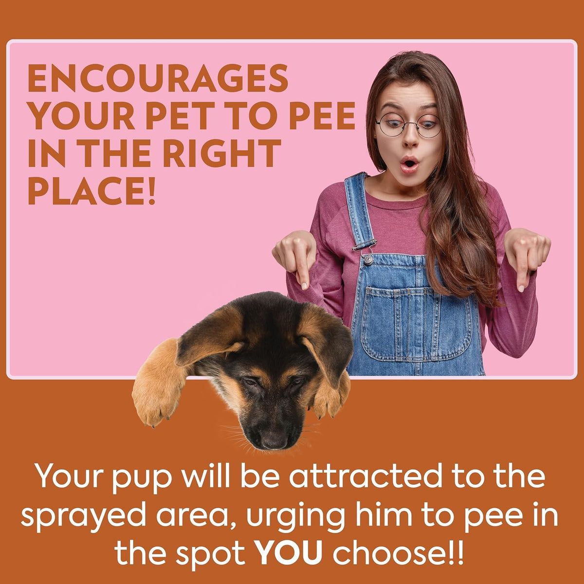 OUT! PetCare Go Here Attractant, Potty Training Spray for Dogs, 32oz | Dog Pee Spray, Puppy Potty Training, Housebreaking, Indoor & Outdoor, Pee Here Training, Training Aid, Easy Application