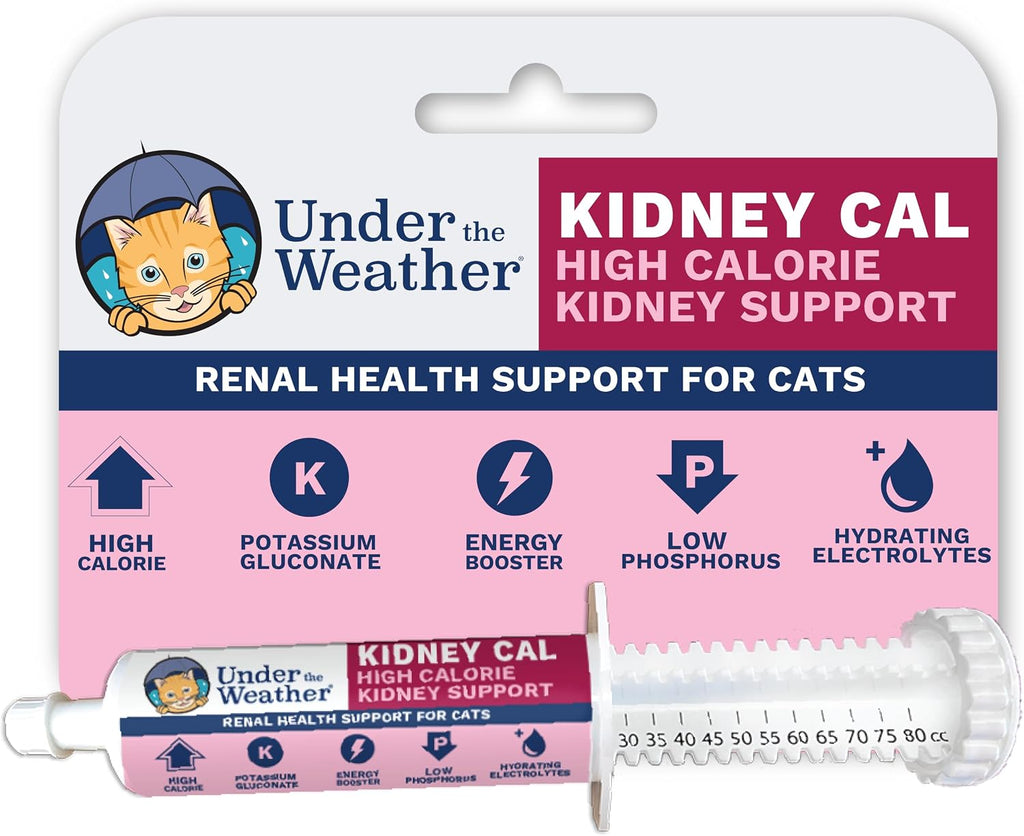 Under The Weather Pet | Ready Cal for Cats 100cc | High Calorie Supplement | Cat Weight Gainer and High Calorie Booster | 10 Vitamins, 7 Minerals & Omega Fatty Acids (for Cats 100cc)