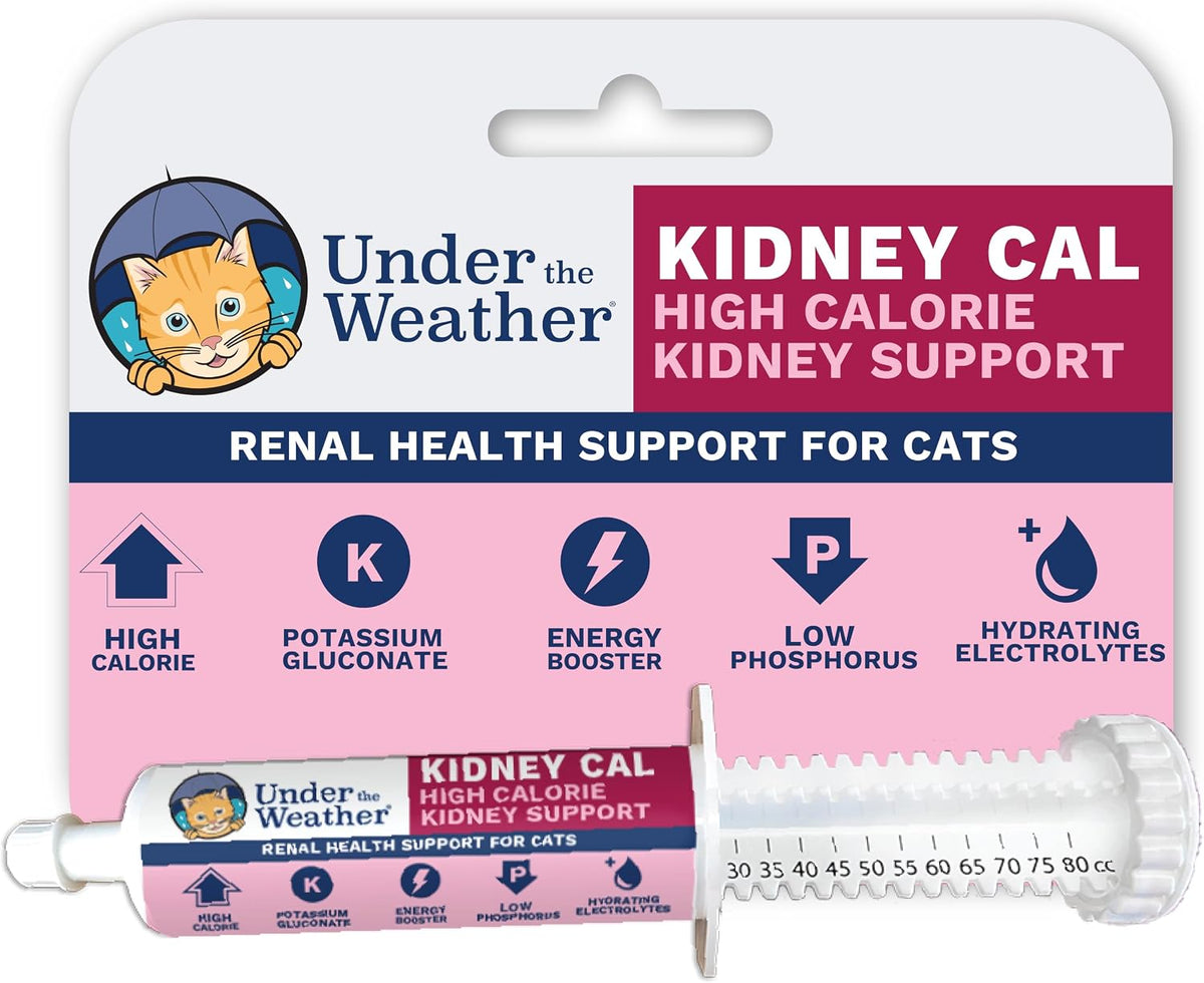Under The Weather Pet | Ready Cal for Cats 100cc | High Calorie Supplement | Cat Weight Gainer and High Calorie Booster | 10 Vitamins, 7 Minerals & Omega Fatty Acids (for Cats 100cc)